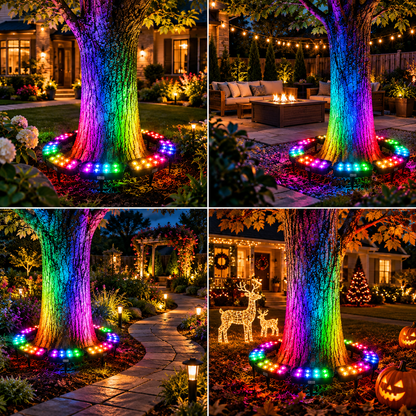 💜💙💚 One Tree. Endless Colors. 6-Pack - Solar RGB Landscape Ring Light